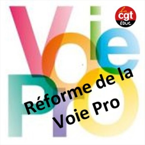 Réforme de la voie pro