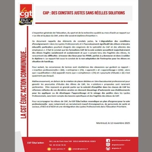 CAP : des constats justes sans réelles solutions