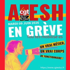 AESH : un vrai métier, un vrai corps de fonctionnaire ! Toutes et tous mobilisé·es le mardi 9 juin