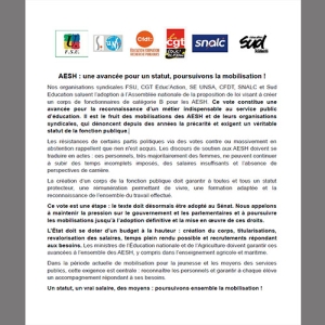 AESH : une avancée pour un statut, poursuivons la mobilisation !
